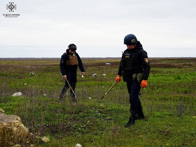 В Україні заміновано близько 40 млн гектарів: розмінування може тривати десятиліттями