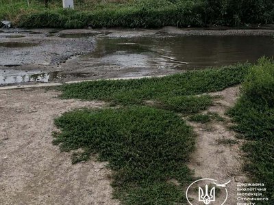 Екологічне НП у Білій Церкві: через таємний скид нечистот забруднено 900 квадратів землі