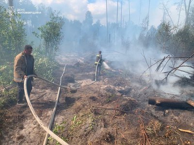 На Коростенщині локалізовано лісову пожежу на території природного заповідника «Древлянський»