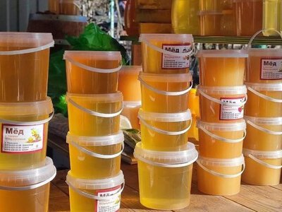 На пасеках прифронтовых территорий мед продают очень дешево