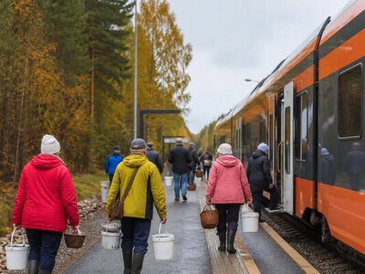 В Естонії у вересні запустять грибний експрес