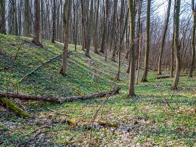Одна з найбільших та найзагадковіших історичних пам’яток Хмельниччини – «Траянів» вал