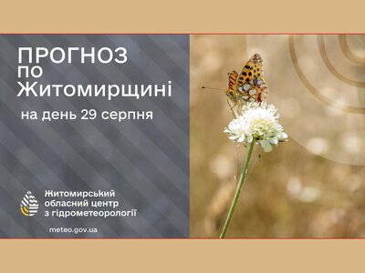 Погода сьогодні на Житомирщині