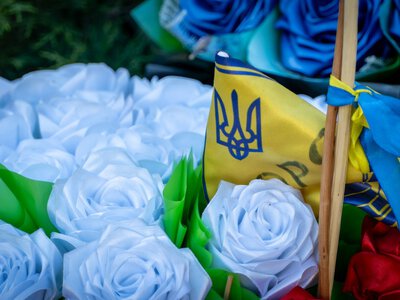 У Житомирі вшанували пам’ять полеглих Захисників і Захисниць України. ФОТО