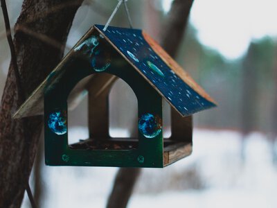 Експерти назвали 15 продуктів, які не варто класти у годівниці для птахів