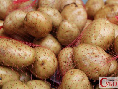 Від 7 до 20 грн за кіло: по чому зараз продають картоплю на Житомирщині