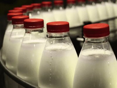 Молокозаводи України: кінець безкоштовним перевіркам?