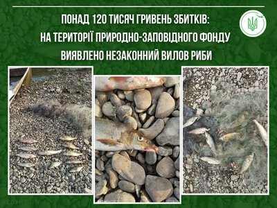 У Тернопільській області виявили незаконні знаряддя лову: збитки перевищили 120 тисяч гривень