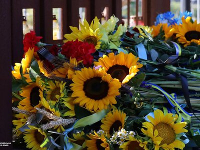 У Миколаєві вшанували пам'ять загиблих захисників України