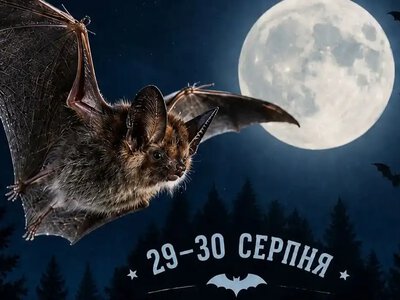 На Рівненщині для дітей провели квест до Міжнародної ночі кажанів