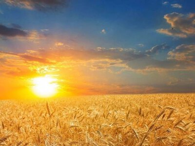 У неділю, 30 серпня, дощі на заході та півночі України, вдень +24...+32 °С