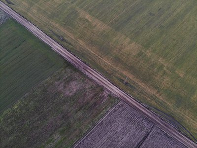 $500 за оренду і $1000 за гектар: скільки зараз коштує земля на Харківщині