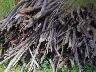 Дрова на зиму на Житомирщині: скільки коштують і де їх купити офіційно