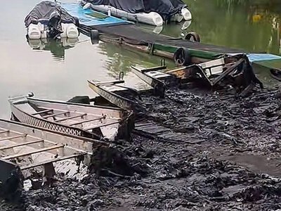 ВІДЕО: У Житомирському Гідропарку вночі підпалили п’ять човнів для веслування