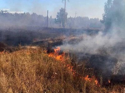 На Житомирщині під час гасіння сухої трави травмувалася жінка