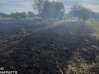 На Закарпатті оголосили надзвичайний рівень пожежної небезпеки