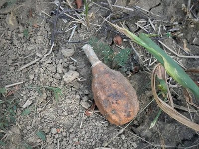 На Ужгородщині знайшли дві гранати часів Другої світової війни (ФОТО)
