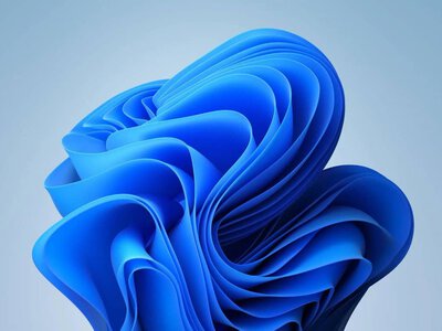 Серпневе оновлення Windows 11 скидає курсори та шпалери у деяких користувачів