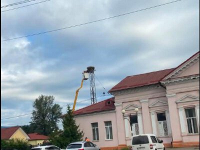 У Сваляві на вокзалі демонтували 50-річне гніздо лелек, в Укрзалізниці обіцяють його повернути