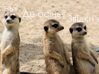 Одеський гумор: Останній день безкоштовного літа — далі тільки за гроші