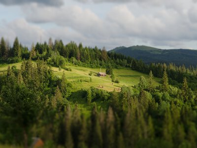 Знахідка з минулого: у прикарпатському лісі відкопали документи ОУН 1948–1949 років
