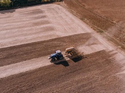 В Україні під загрозою 20% посівних площ: які наслідки чекають на агросектор через блокування експорту