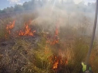 На Рівненщині за добу вогнеборці ліквідували 5 пожеж на відкритих територіях