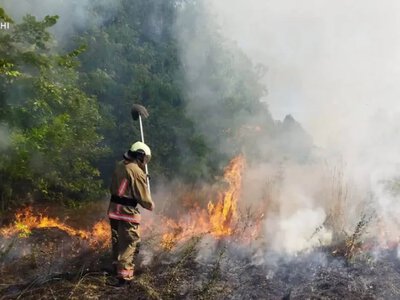 На Волині горіла суха трава: пожежа сталася у Колпитові