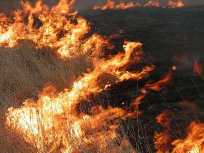 За добу на Рівненщині вогнеборці ліквідували 5 пожеж на відкритих територіях