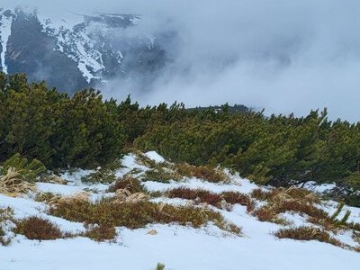 Туристу повернули загублений рюкзак через 63 роки: подробиці історії