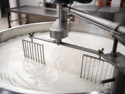 Поголів’я корів в Україні за рік скоротилося на 18%: виробників тиснуть високі витрати