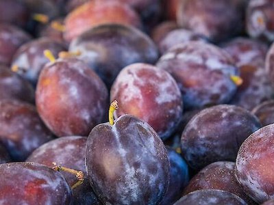 Вчені назвали сім продуктів, які сприяють здоров’ю кісток