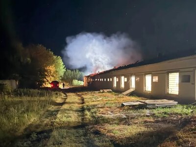 Атака на “Щасливе Курча”: загинули тисячі бройлерів