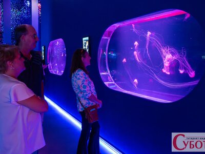 Майже 900 квадратних метрів і 21 акваріум: українці створили незвичайний музей у США