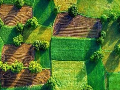 Князівство Перун: чиновники Івано-Франківської громади скупили сотні тисяч квадратних метрів