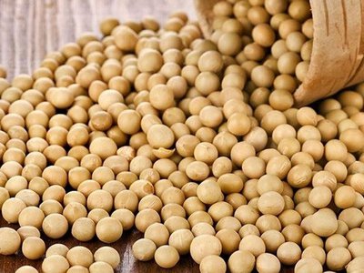 Експорт сої: нова програма для аграріїв