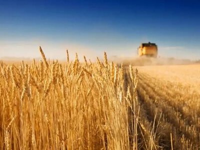 На Херсонщині заочно судитимуть чотирьох агропідприємців за співпрацю з Росією