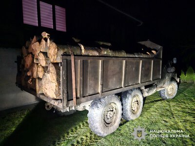 7 років тюрми загрожує чотирьом закарпатцям за незаконну рубку лісу на Тячівщині