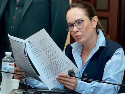 Навіть не тисячу гривень: скільки вже грошей застави внесли за Ірину Мудру