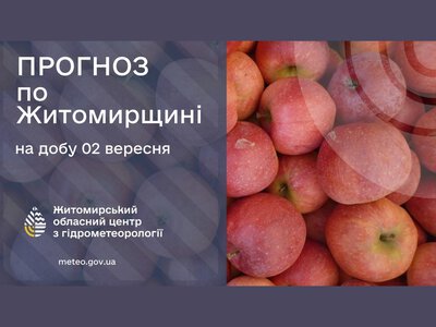 Завтра буде тепла погода майже без опадів