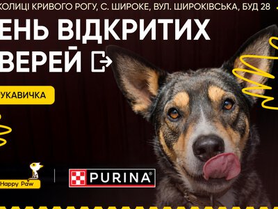 Майже 200 хвостатих чекають на свій дім: у Кривому Розі влаштують День відкритих дверей у притулку
