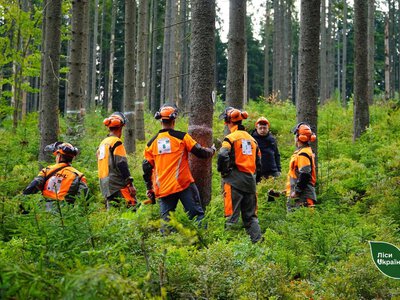 На Прикарпатті стартували змагання вальників лісу: участь беруть 18 працівників