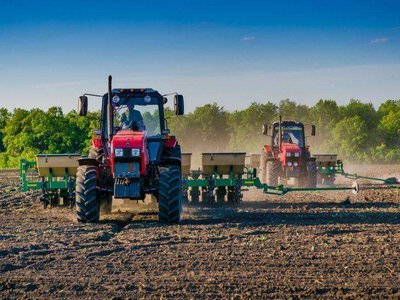 На Полтавщині через нестачу вологи аграрії призупиняють сівбу озимого ріпаку