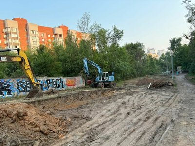 Теплотрасу на Теремках все ж прокладатимуть базовим маршрутом: КМДА обіцяє зберегти більше дерев