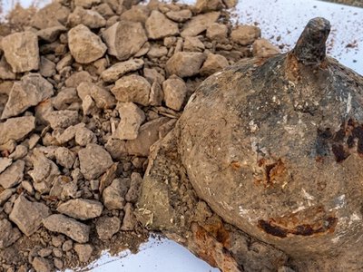 Стародавній щит із рештками воїна випадково знайшли на польському звалищі