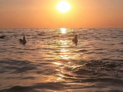 Море біля Одеси ще тепле: якою буде температура води 2 вересня