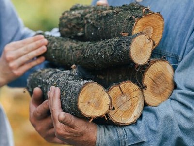 Як отримати гроші на дрова у 2026 році: кому дадуть субсидію та куди звертатися