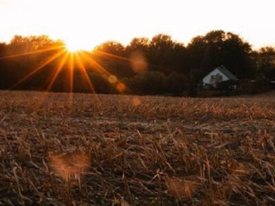 Сьогодні у Чернівцях прогнозують до 27° тепла та мінливу хмарність