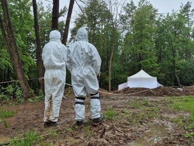 Польща вперше за тривалий час дозволила Україні провести пошукові роботи