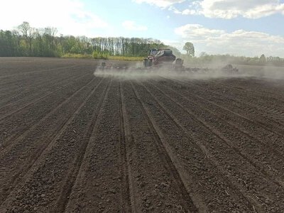 На Полтавщині аграрії призупиняють сівбу озимого ріпаку через дефіцит вологи
